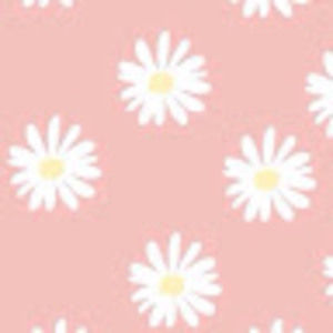 Meet your Posher, Ava